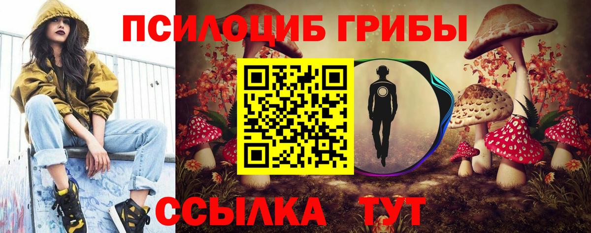 Галлюциногенные грибы Cubensis  Вход с VPN  Людиново 